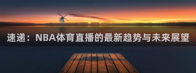 雨燕直播足球网