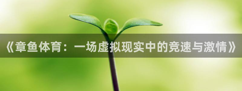 cba直播雨燕：《章鱼体育：一场虚拟现实中的竞速与激情》