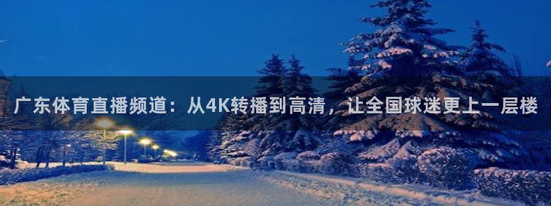 新雨燕体育足球直播：广东体育直播频道：从4K转播到高清，让全国球迷更上一层楼