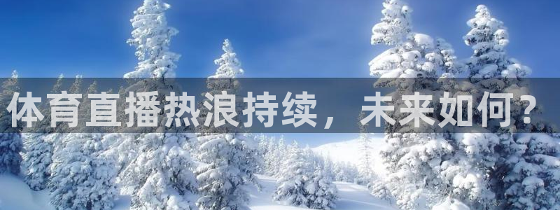 雨燕360nba直播：体育直播热浪持续，未来如何？